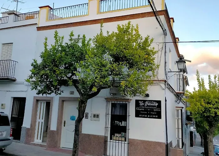 Jacaranda