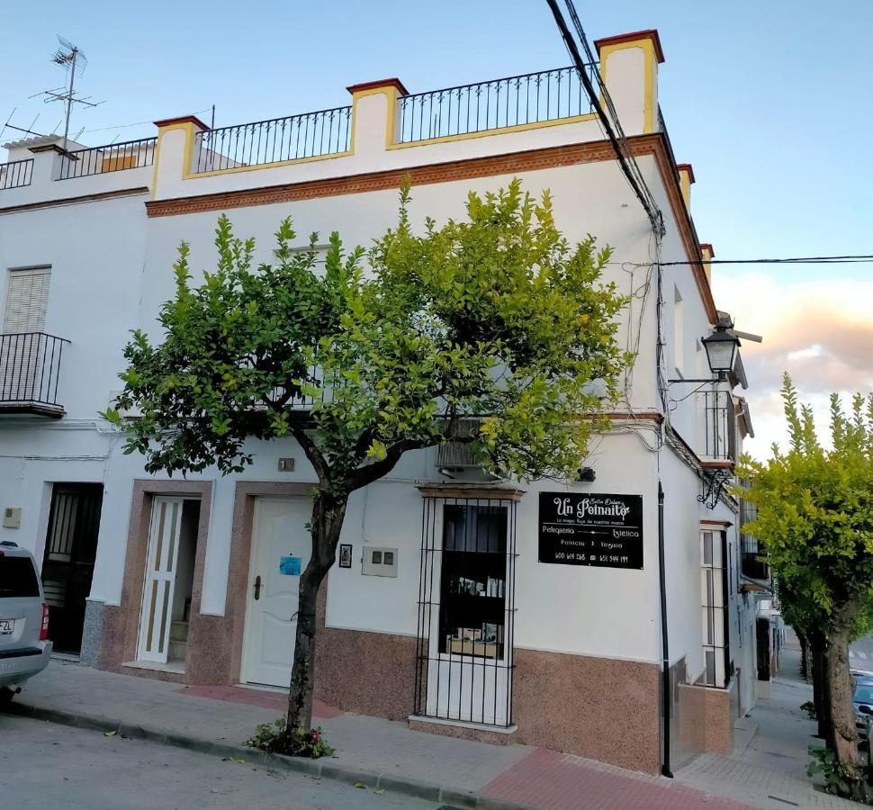 Jacaranda * Prado Del Rey